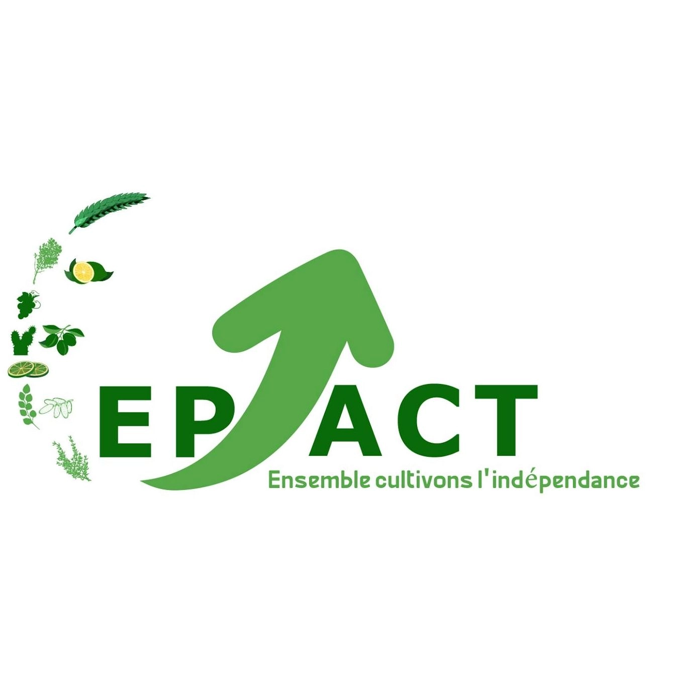 Epact