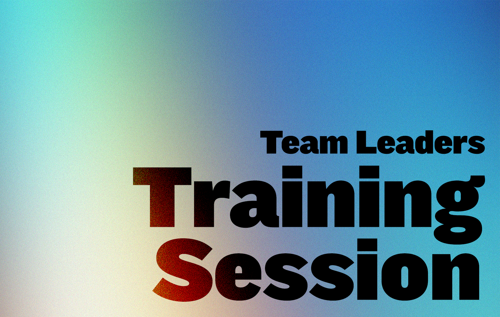 Team Leaders Training Session