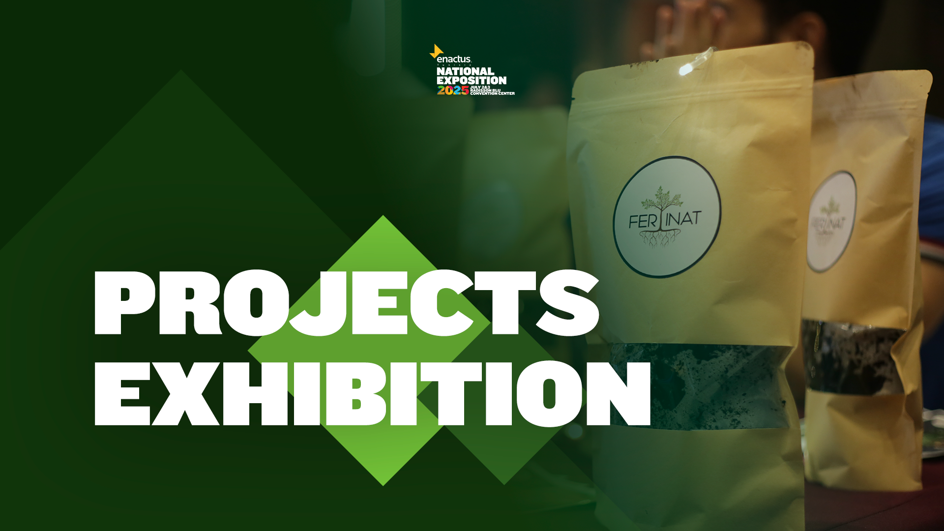 Projects Exhibition